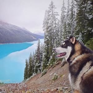 Meet your Posher, Karlyn